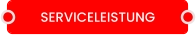 SERVICELEISTUNG